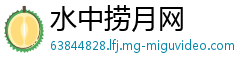 水中捞月网